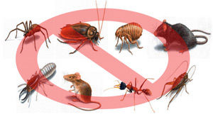 Target Pest Management Company|Home
